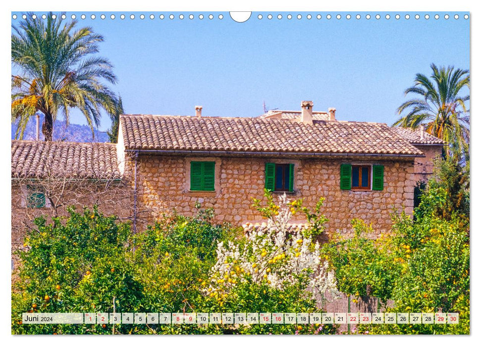 Immer wieder Mallorca (CALVENDO Wandkalender 2024)