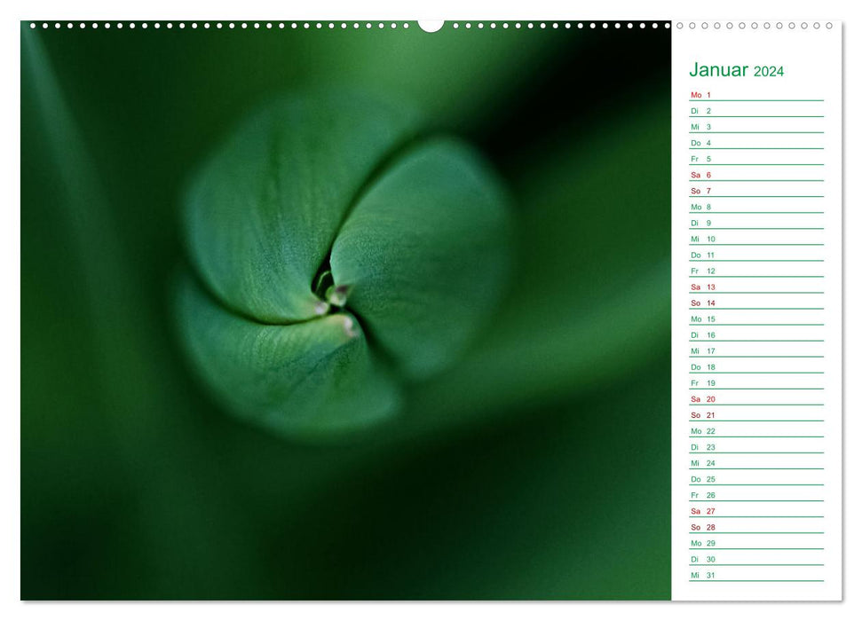 Grün Makrofotografien aus der grünen Welt der Pflanzen als Monatsplaner (CALVENDO Wandkalender 2024)