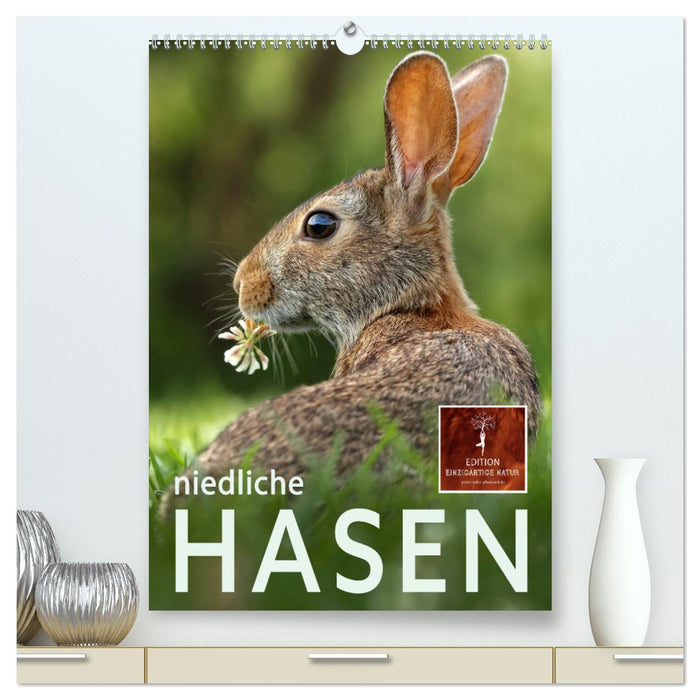 Niedliche Hasen (CALVENDO Premium Wandkalender 2024)