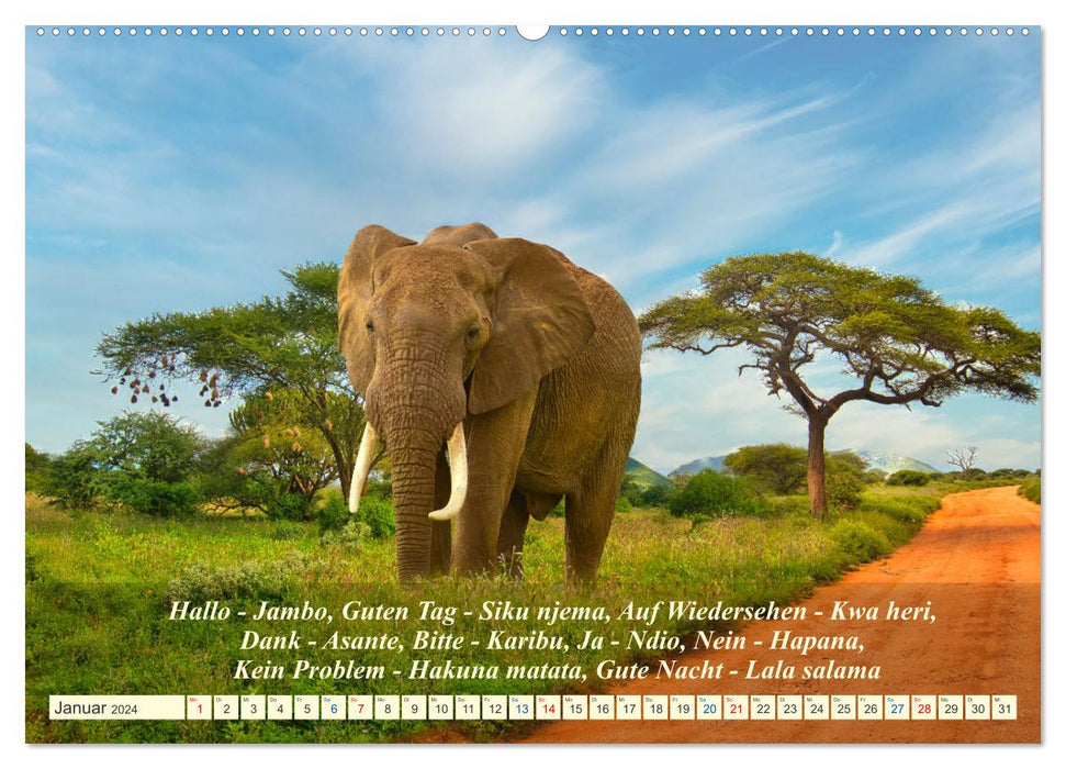 Jambo Kenya (CALVENDO Premium Wandkalender 2024)