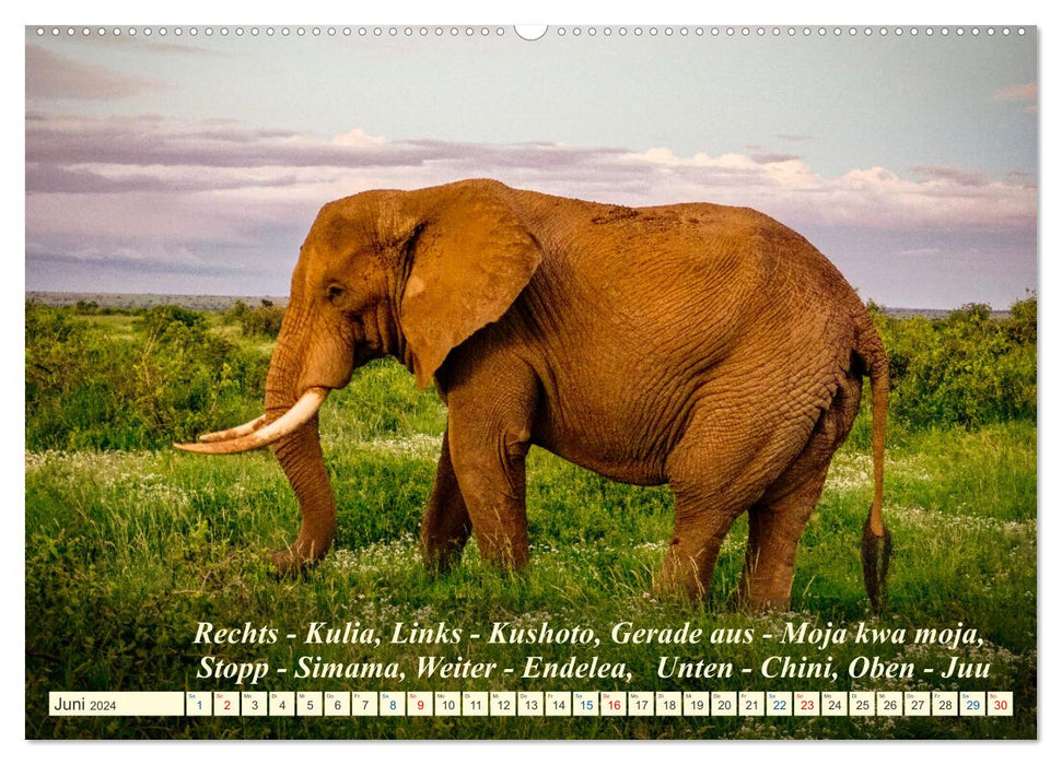 Jambo Kenya (CALVENDO Premium Wandkalender 2024)