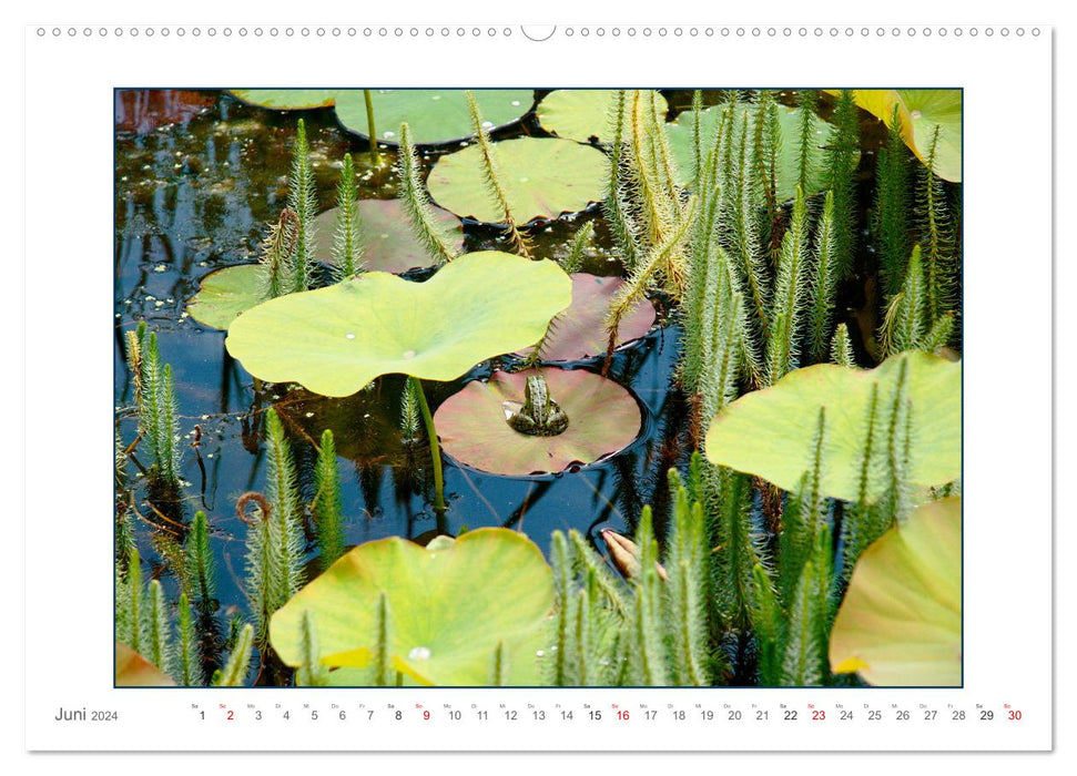 Sanfte Natur (CALVENDO Wandkalender 2024)