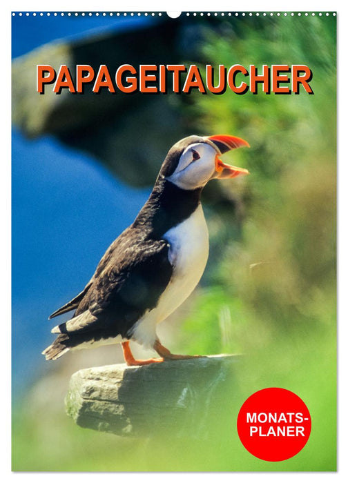 Papageitaucher Monatsplaner (CALVENDO Wandkalender 2024)