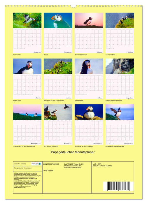 Papageitaucher Monatsplaner (CALVENDO Wandkalender 2024)