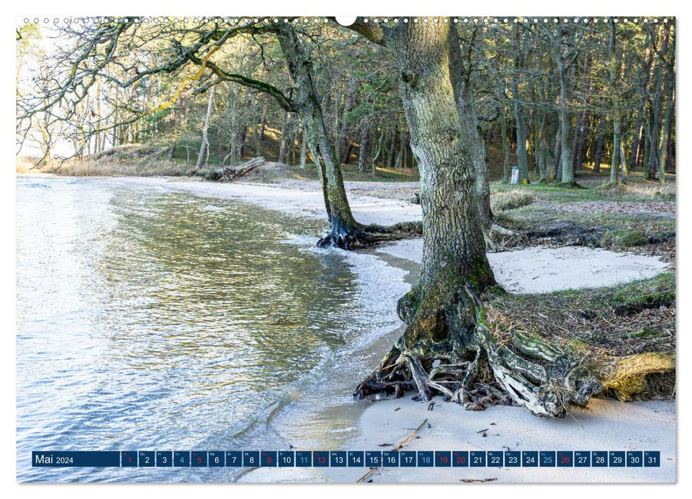 Naturerlebnis Stettiner Haff (CALVENDO Premium Wandkalender 2024)