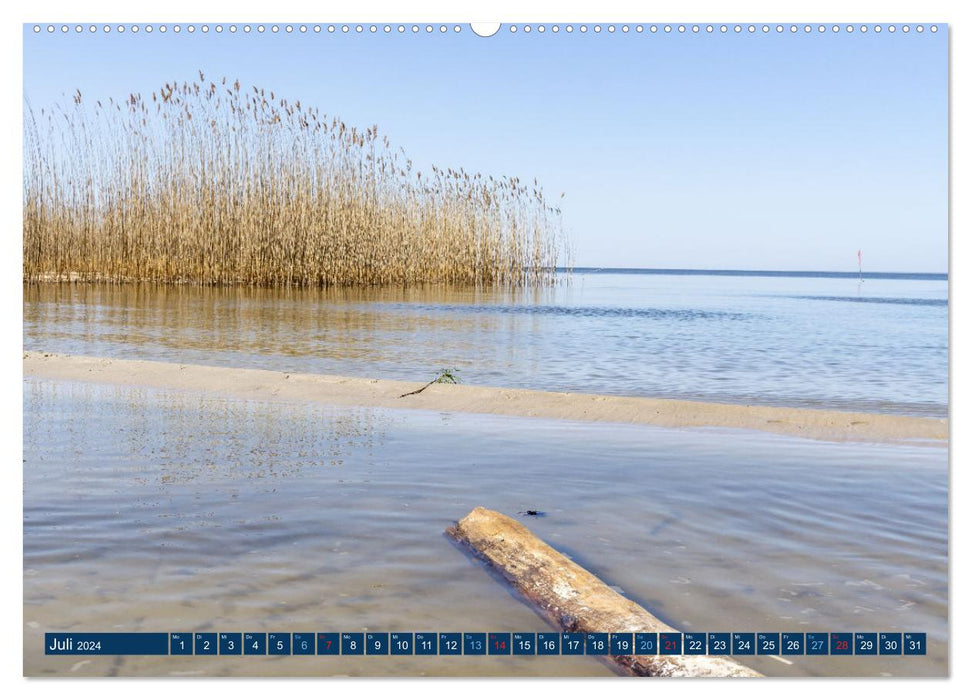 Expérience nature Stettiner Lagoon (Calvendo Premium Wall Calendar 2024) 