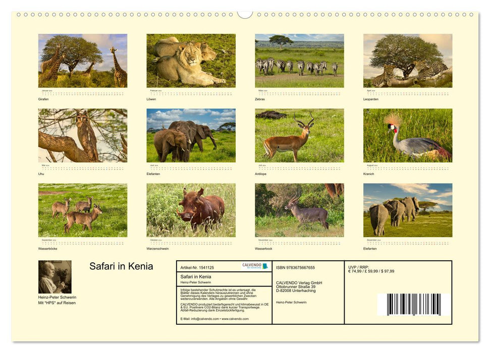 Safari au Kenya (Calvendo Premium Calendrier mural 2024) 