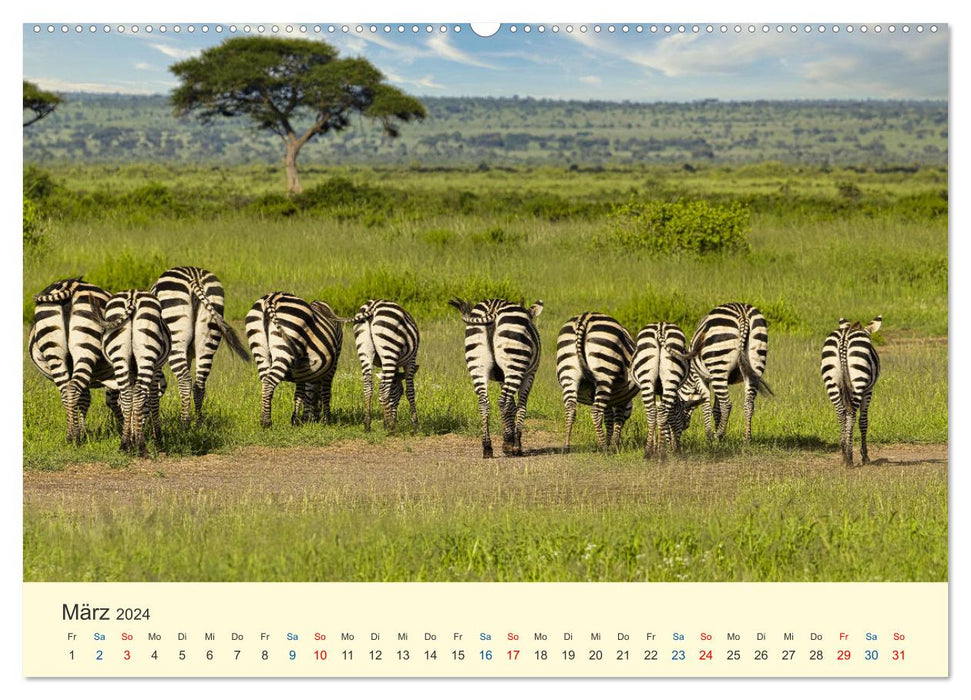Safari au Kenya (Calvendo Premium Calendrier mural 2024) 