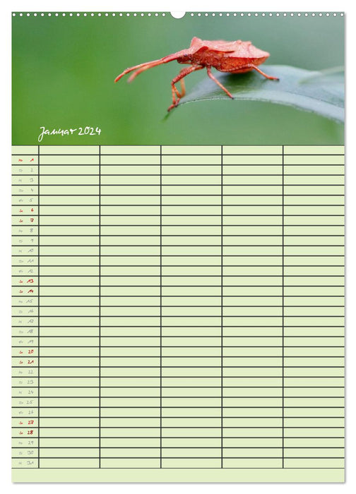 Invités animaux (Calendrier mural CALVENDO Premium 2024) 