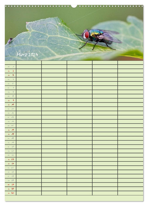 Tierische Gäste (CALVENDO Premium Wandkalender 2024)