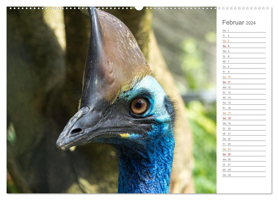 Die einzigartige Tierwelt von Australien (CALVENDO Wandkalender 2024)