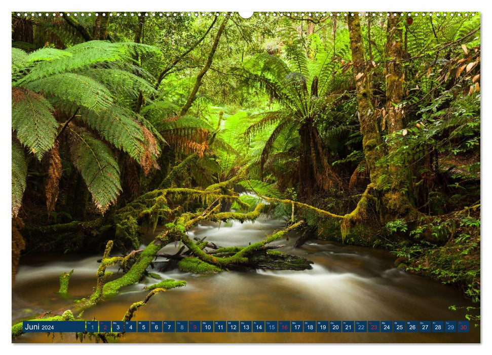 La beauté de l'Australie (Calvendo Premium Calendrier mural 2024) 