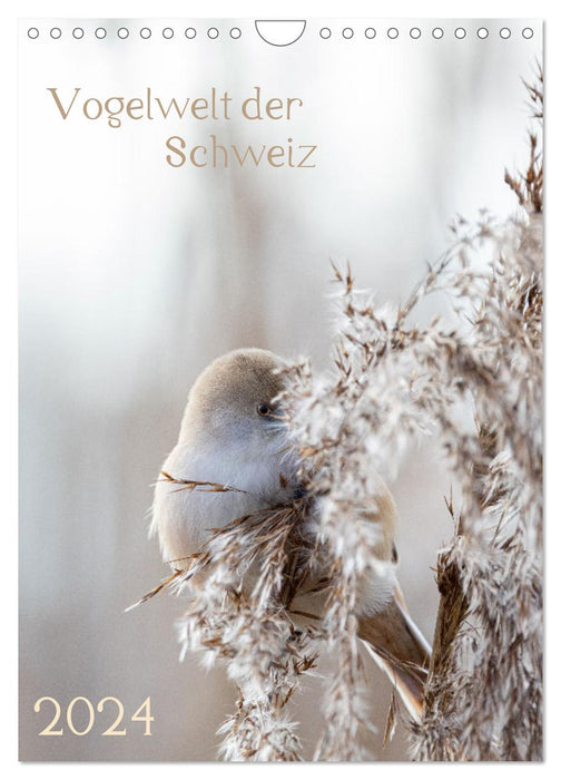 Vogelwelt der Schweiz (CALVENDO Wandkalender 2024)