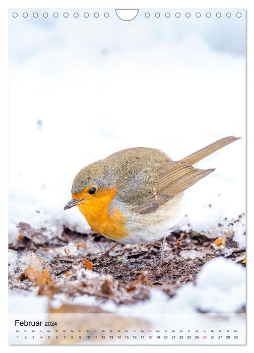 Vogelwelt der Schweiz (CALVENDO Wandkalender 2024)