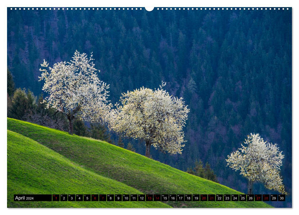 Alpes - Suisse et Vorarlberg (Calendrier mural CALVENDO Premium 2024) 