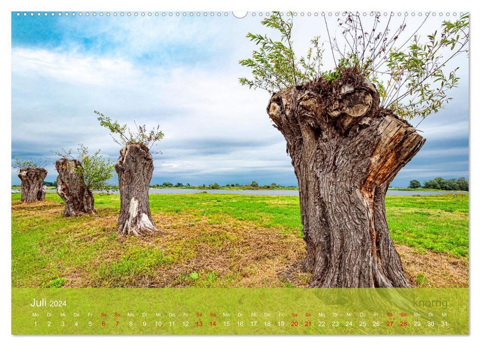 der elbestrom natur (CALVENDO Premium Wandkalender 2024)