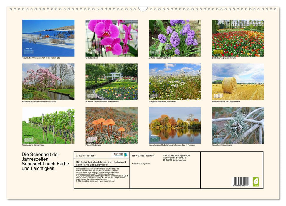 Die Schönheit der Jahreszeiten, Sehnsucht nach Farbe und Leichtigkeit (CALVENDO Wandkalender 2024)