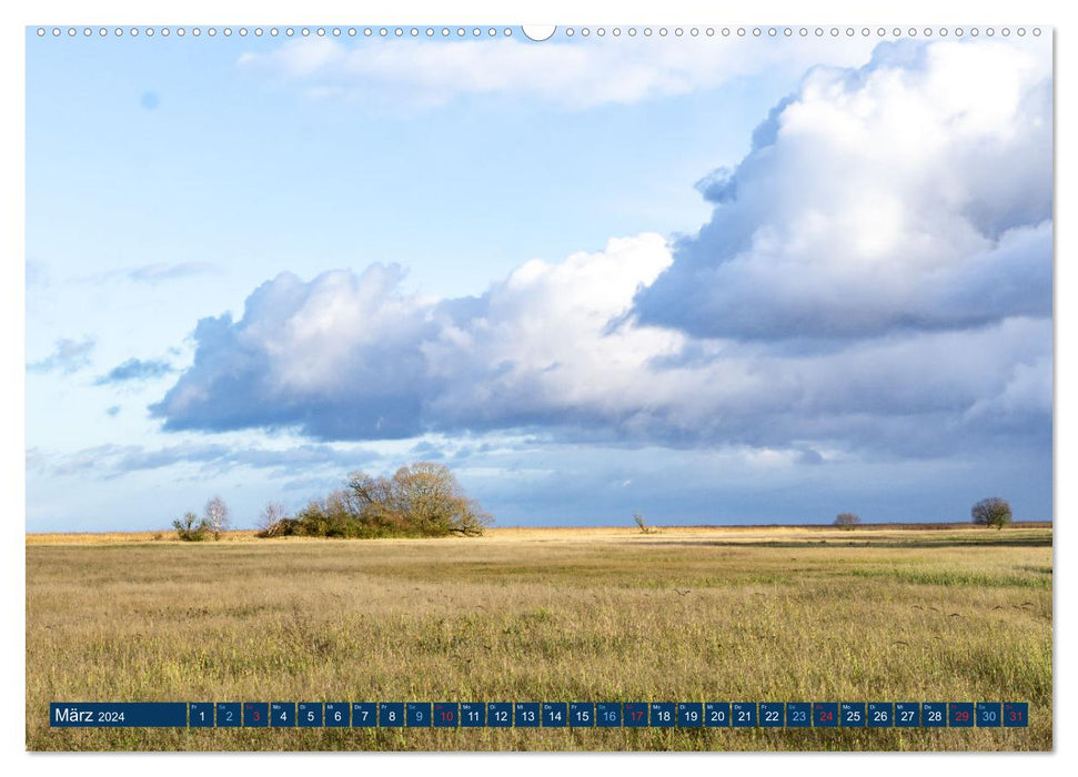 Expérience nature Stettiner Lagoon (calendrier mural CALVENDO 2024) 