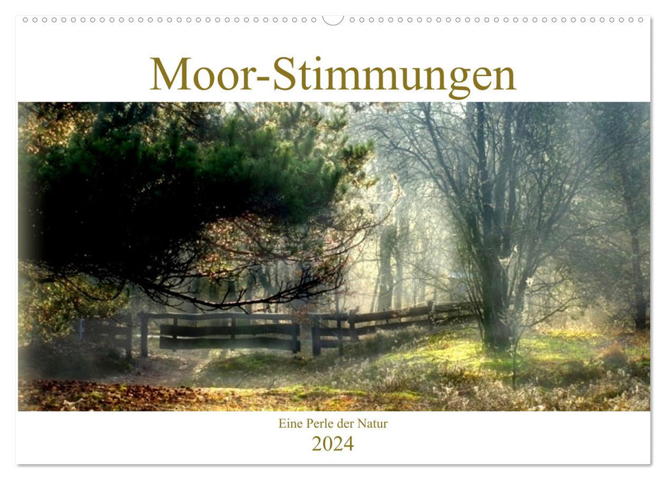 Moor-Stimmungen (CALVENDO Wandkalender 2024)