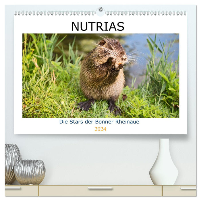 NUTRIAS - Die Stars der Bonner Rheinaue (CALVENDO Premium Wandkalender 2024)