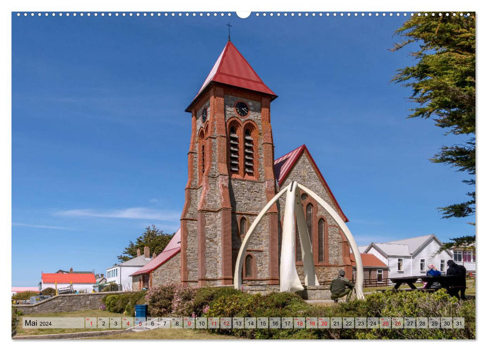 Aux Îles Falkland (Calendrier mural CALVENDO 2024) 