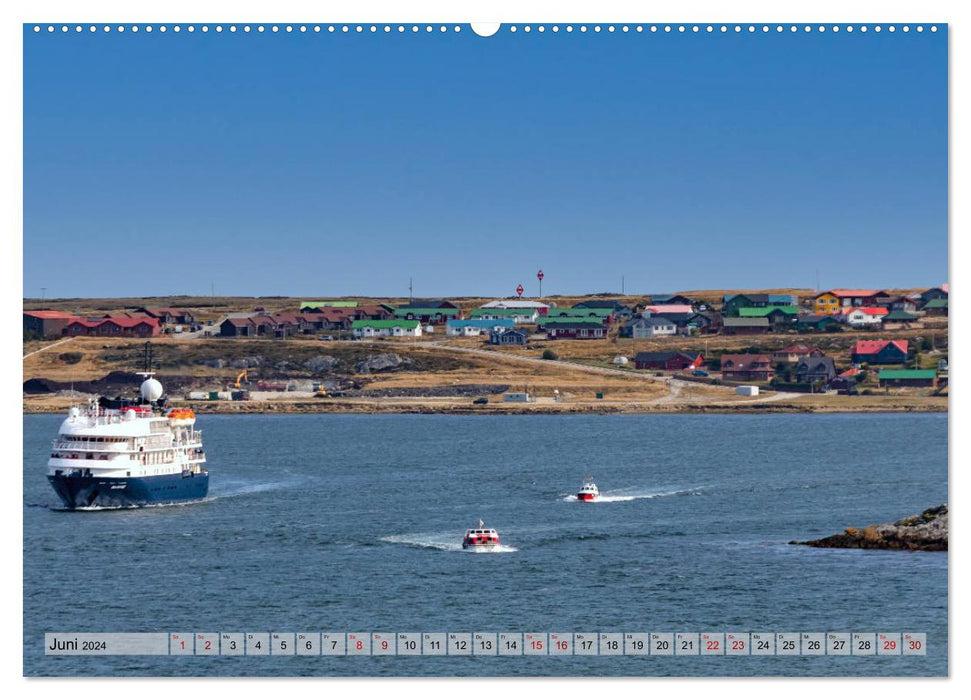 Aux Îles Falkland (Calendrier mural CALVENDO 2024) 