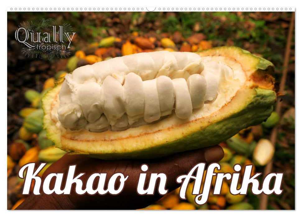 Kakao in Afrika (CALVENDO Wandkalender 2024)