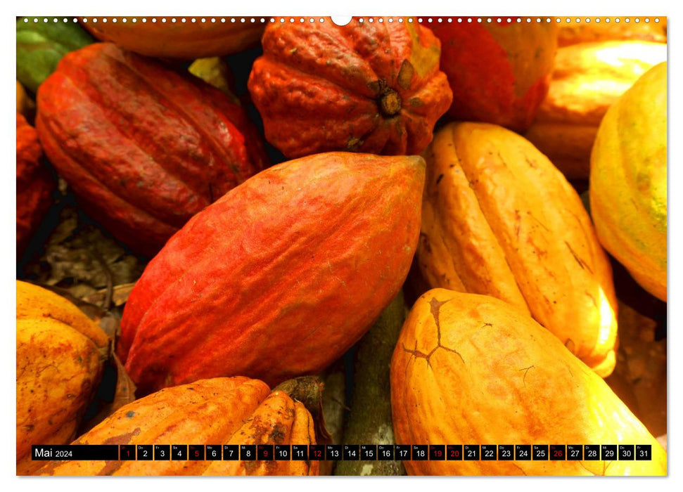 Le cacao en Afrique (calendrier mural CALVENDO 2024) 