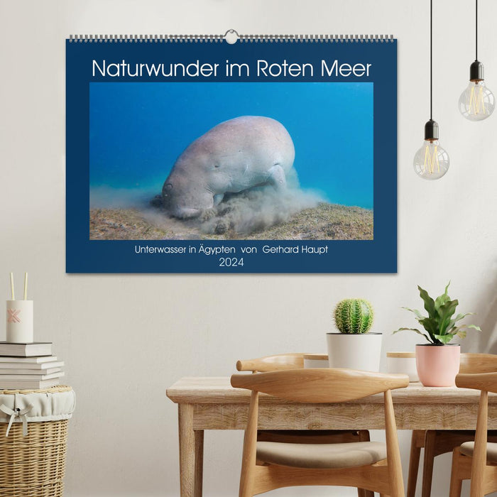 Naturwunder im Roten Meer (CALVENDO Wandkalender 2024)
