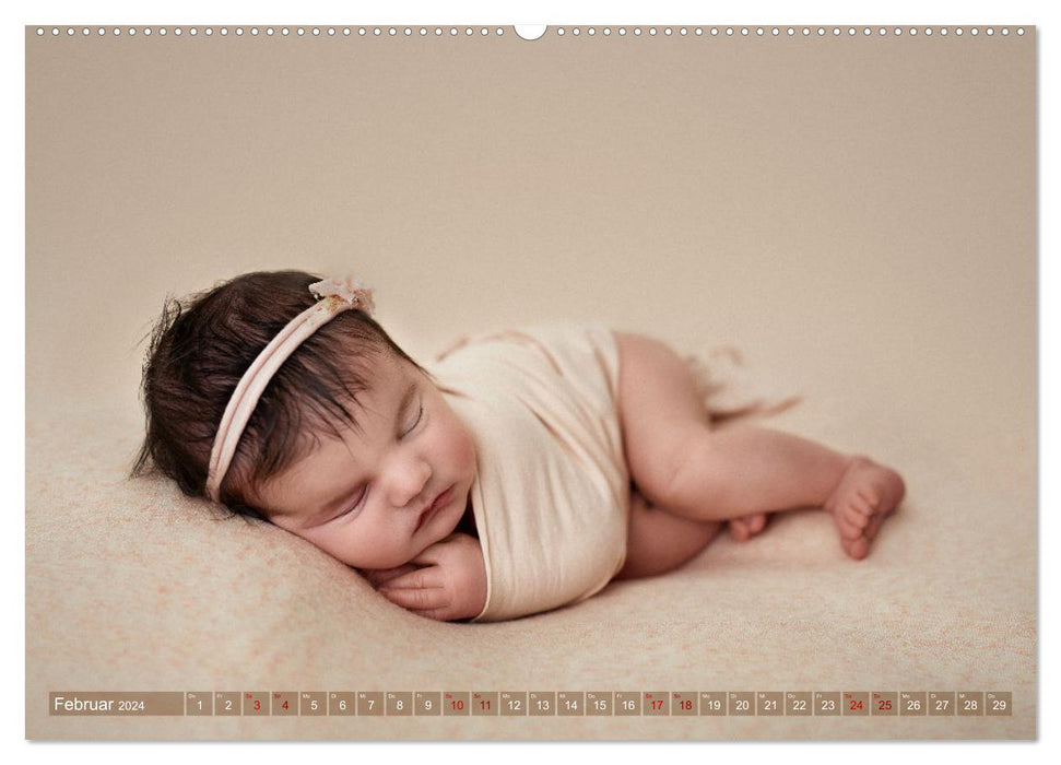 Zauberhafte Babybilder (CALVENDO Premium Wandkalender 2024)