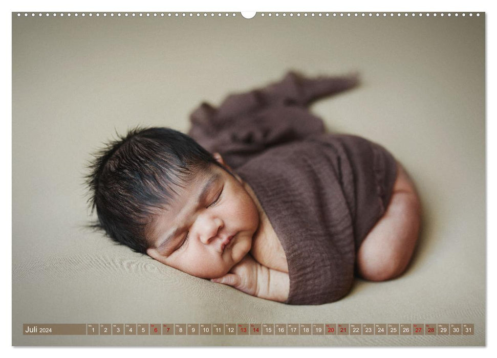 Zauberhafte Babybilder (CALVENDO Premium Wandkalender 2024)