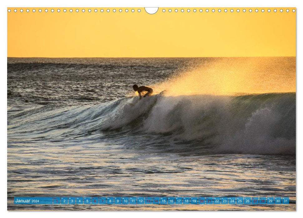 Hawaii´s Surfer (CALVENDO Wandkalender 2024)