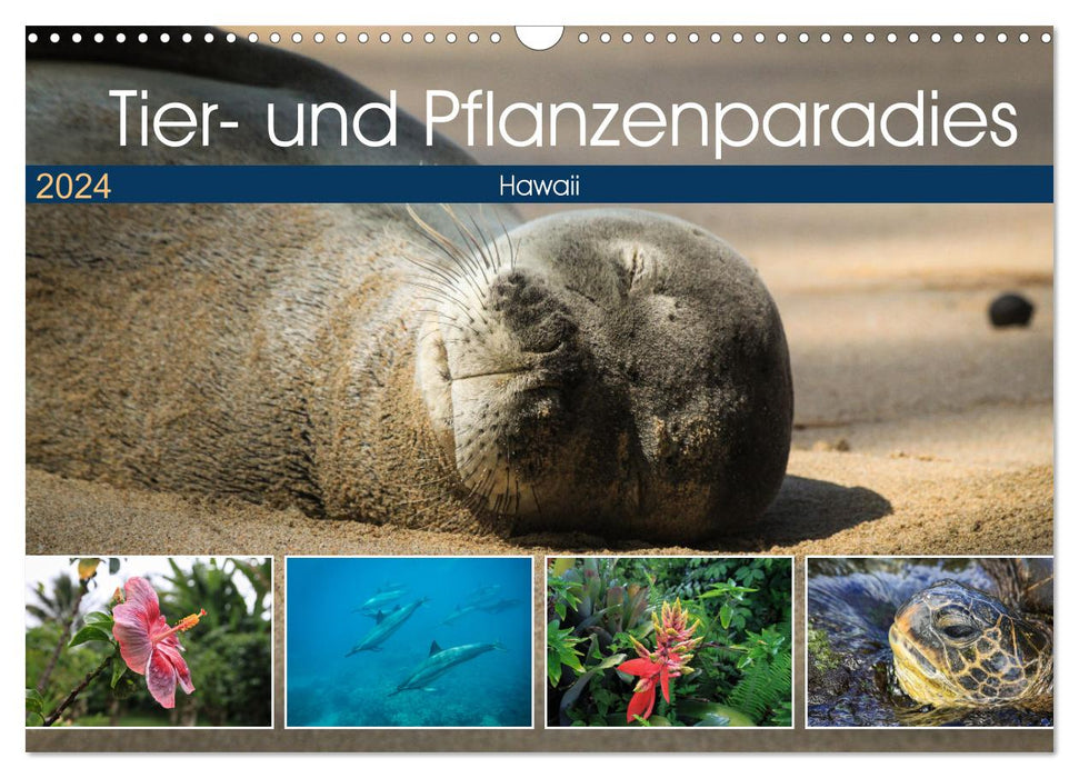 Tier- und Pflanzenparadies Hawaii (CALVENDO Wandkalender 2024)