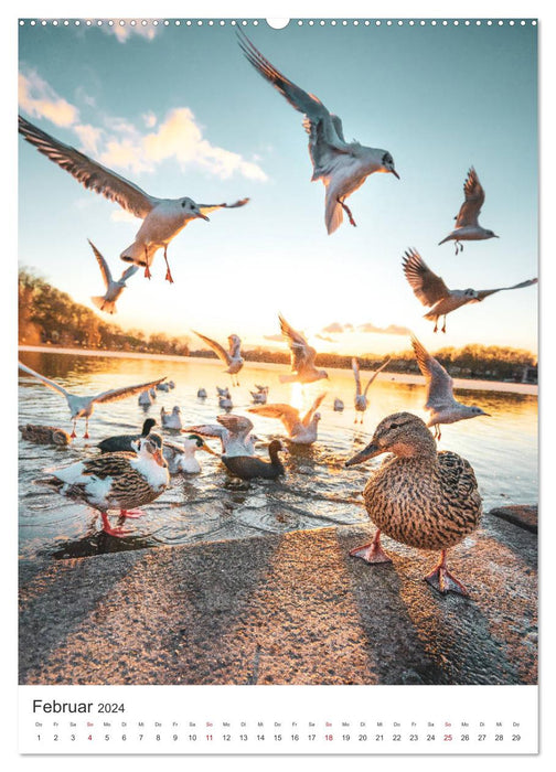 Münster - Stadt und Natur (CALVENDO Wandkalender 2024)