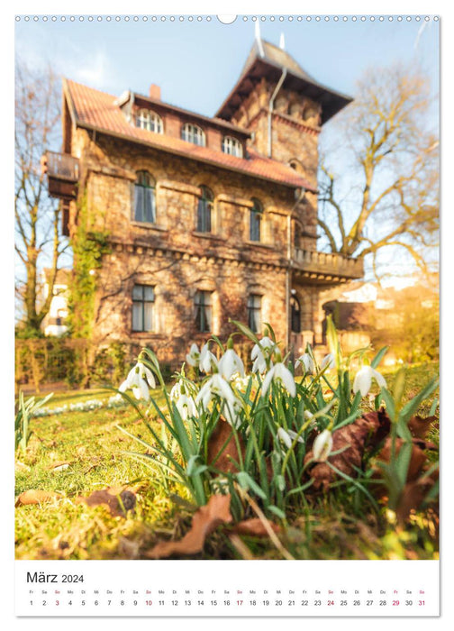 Münster - ville et nature (calendrier mural CALVENDO 2024) 