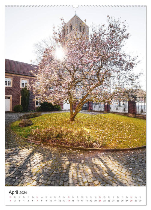 Münster - ville et nature (calendrier mural CALVENDO 2024) 