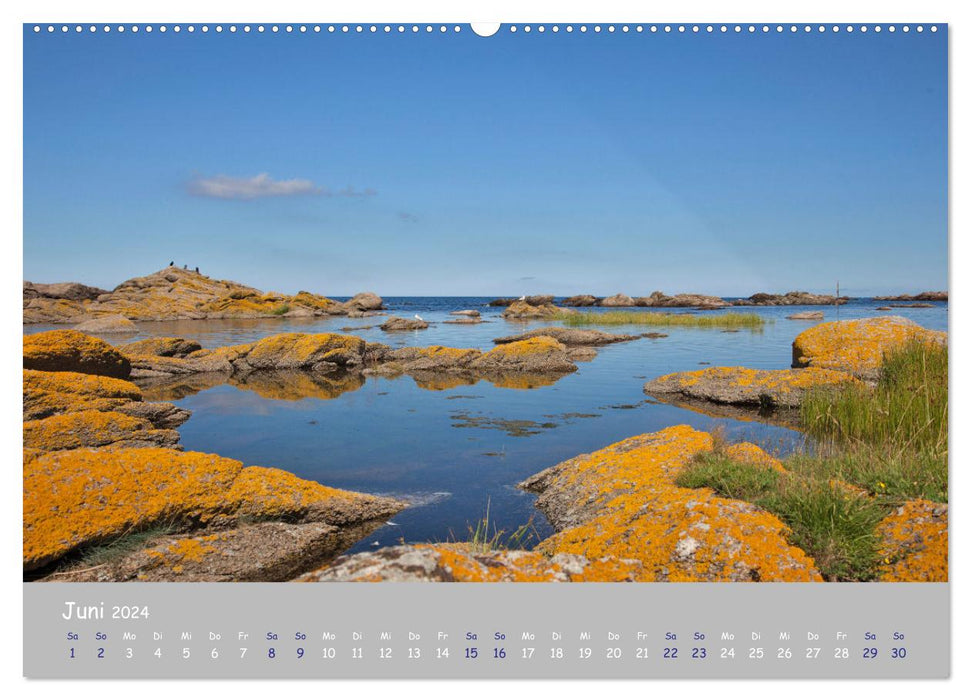 Bornholm - les côtes de l'île de la mer Baltique (calendrier mural CALVENDO 2024) 