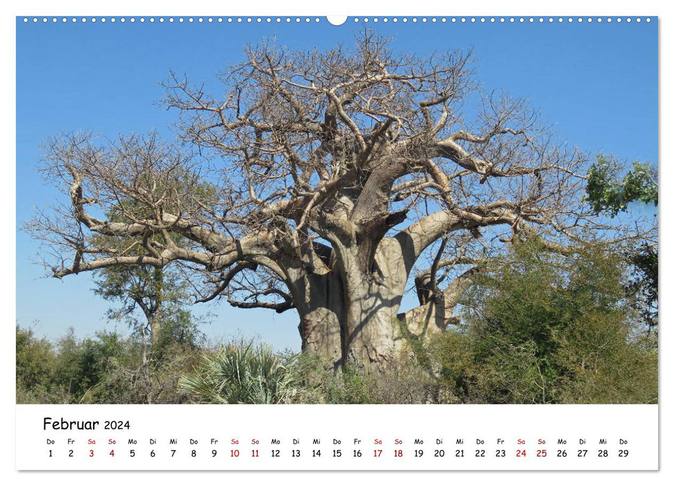 Natur und Landschaft. Südliches Afrika 2024 (CALVENDO Premium Wandkalender 2024)