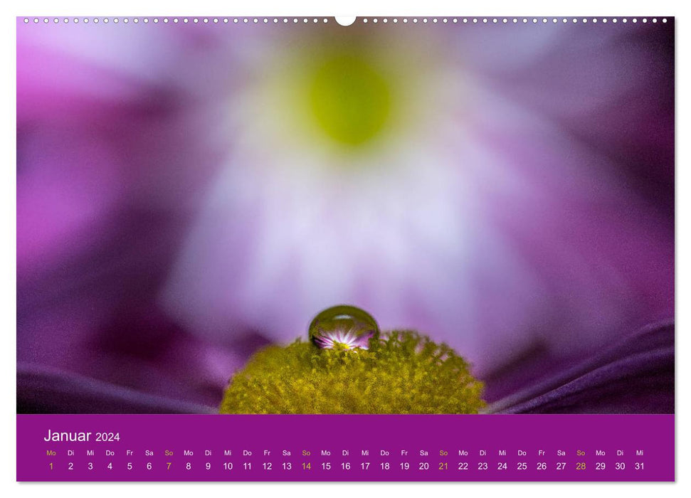 Tropfenwelten; Faszination der Makrofotografie (CALVENDO Premium Wandkalender 2024)
