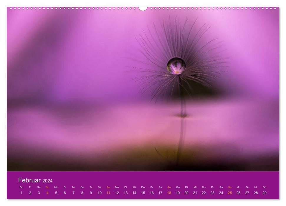 Supprimer des mondes ; La fascination de la macrophotographie (Calendrier mural CALVENDO Premium 2024) 