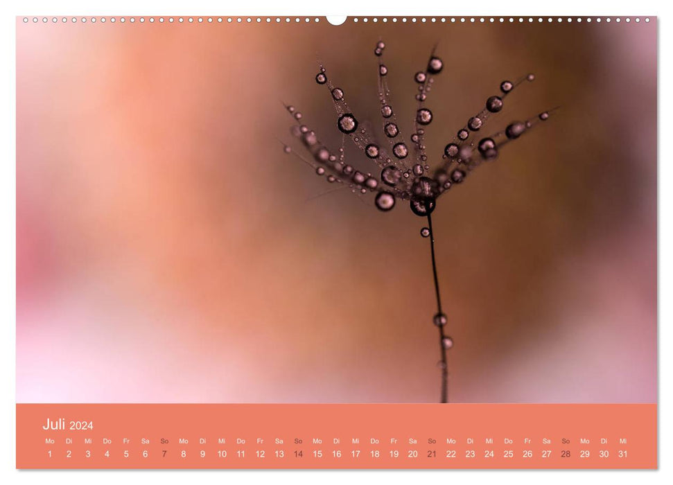 Tropfenwelten; Faszination der Makrofotografie (CALVENDO Premium Wandkalender 2024)