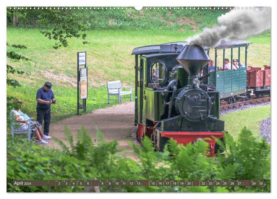 Parc Fürst Pückler (Calvendo Premium Calendrier mural 2024) 