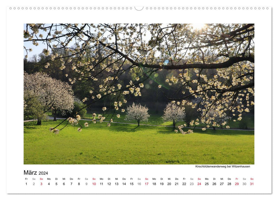 Fleurs de cerisier autour de Witzenhausen (Calendrier mural CALVENDO Premium 2024) 