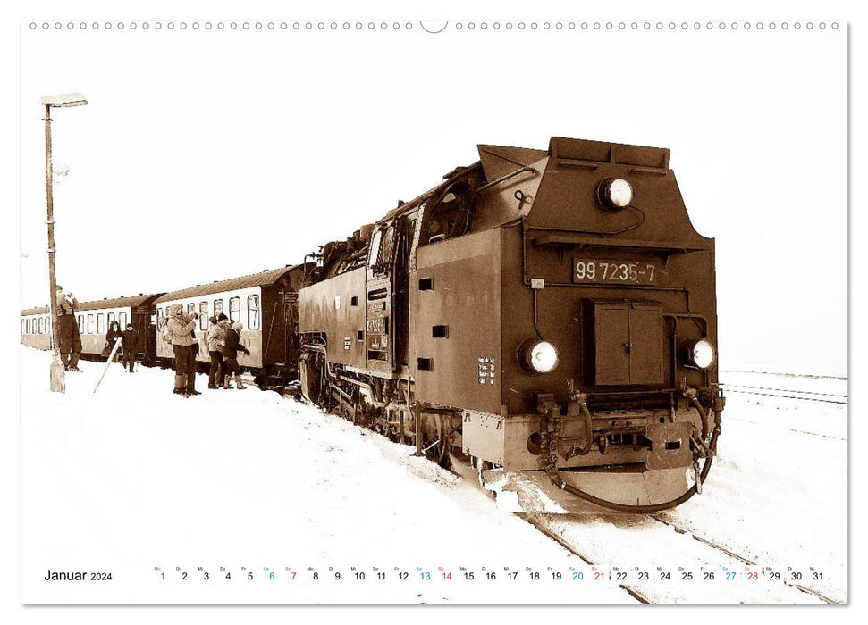 CONTROLLER UP - locomotives à voie étroite et ferroviaires nationales (Calendrier mural CALVENDO Premium 2024) 