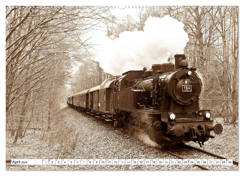 CONTROLLER UP - locomotives à voie étroite et ferroviaires nationales (Calendrier mural CALVENDO Premium 2024) 