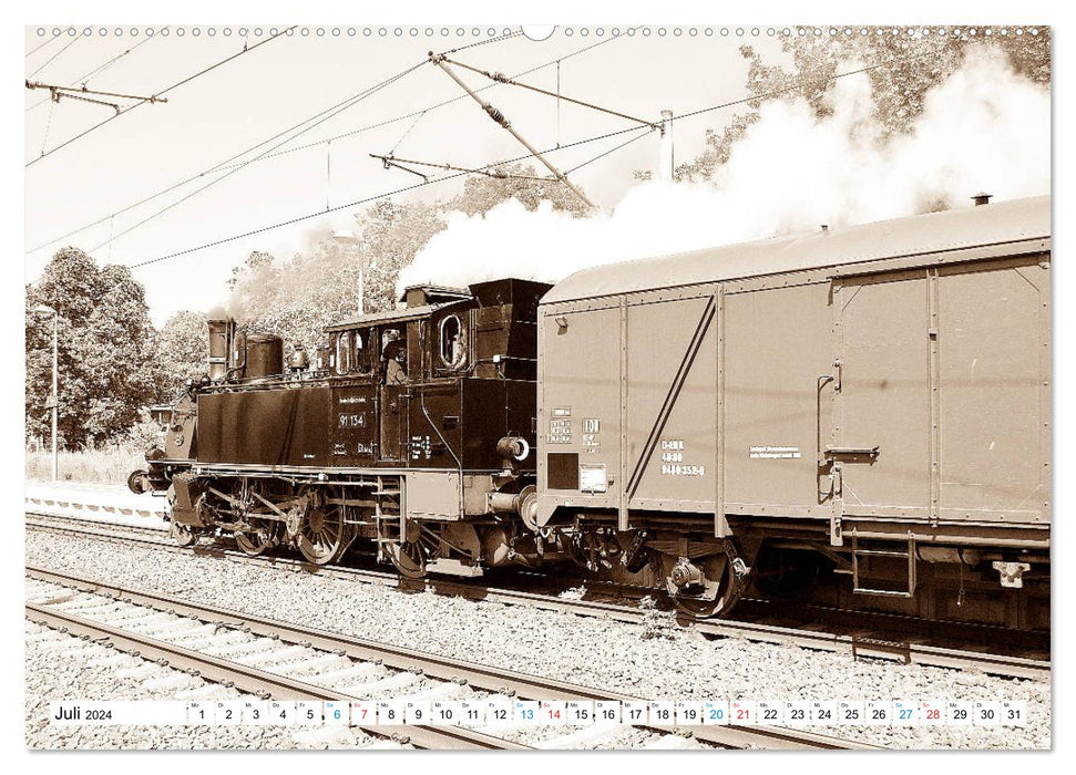 CONTROLLER UP - locomotives à voie étroite et ferroviaires nationales (Calendrier mural CALVENDO Premium 2024) 