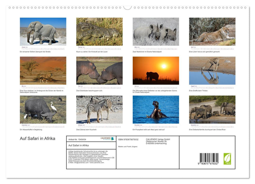 Auf Safari in Afrika (CALVENDO Premium Wandkalender 2024)