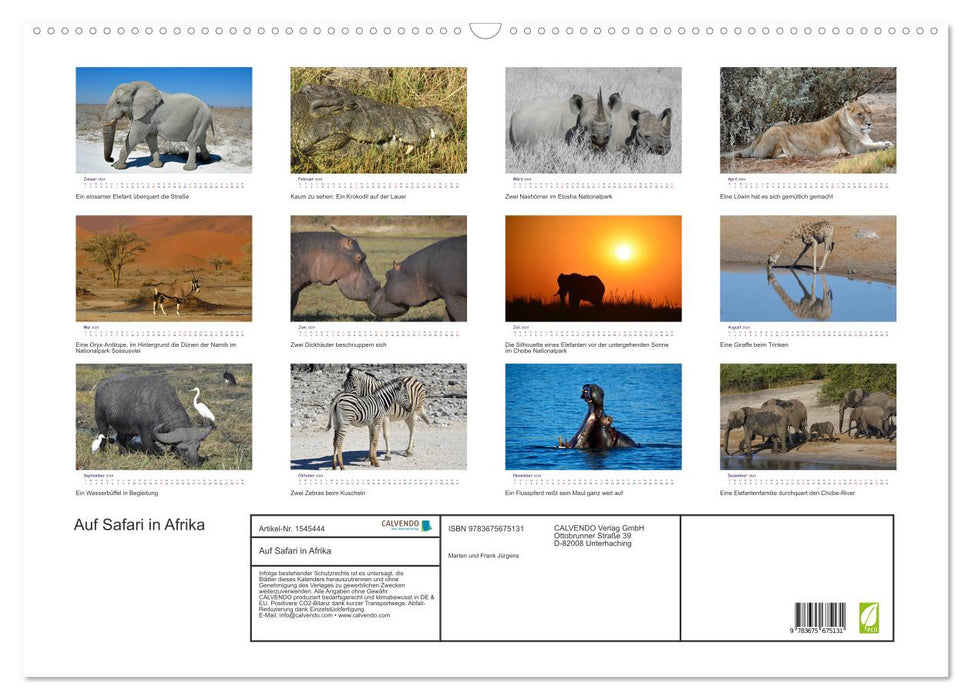 En safari en Afrique (Calendrier mural CALVENDO 2024) 