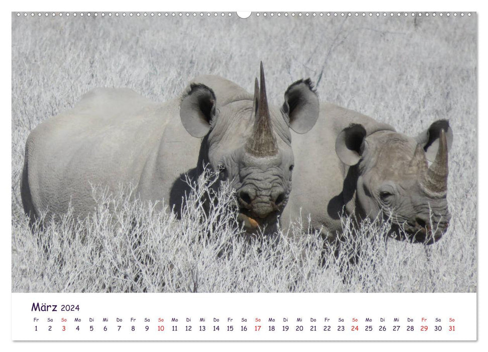 En safari en Afrique (Calendrier mural CALVENDO 2024) 