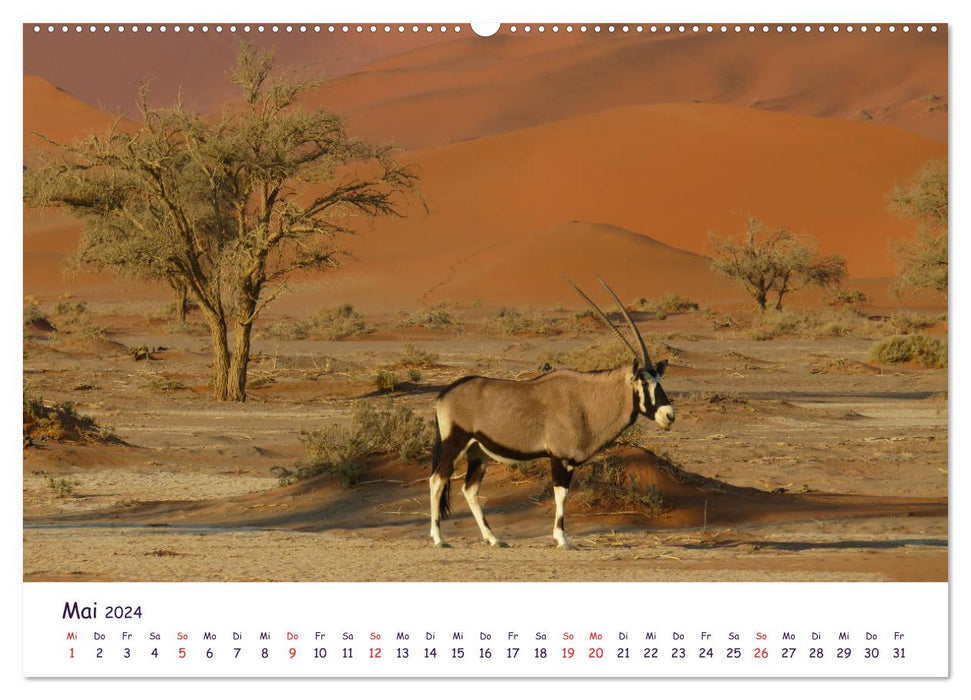 En safari en Afrique (Calendrier mural CALVENDO 2024) 